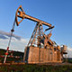 От Индии ждут взаимности в нефтяных проектах