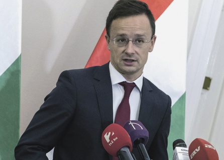 венгрия, дипломатический конфликт, паспорта, украина, закон, образование, родной язык, закарпатье