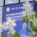 На ПМЭФ-2018 все хотят сделать красиво