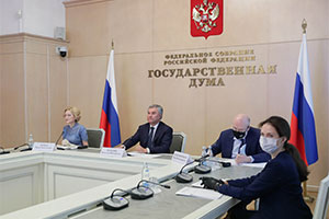 конституция, поправки, плебесцит, итоги, цик, электоральные новации, путин