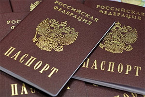 Проект закона о гражданстве обнуляет четыре положения Конституции РФ