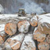 Леса восстановили после вырубок, но это не точно
