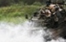 Срочно! Войска НАТО форсируют реку между Литвой и Россией