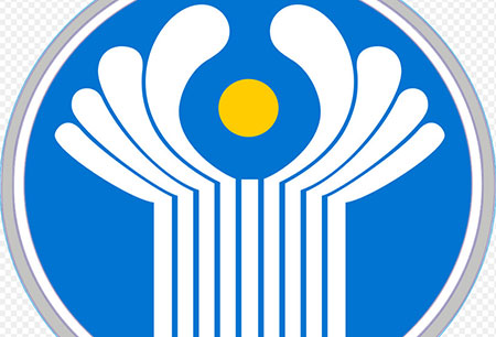 В СНГ на фоне спецоперации появилось "движение неприсоединения"