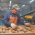 На продукт-бренд Белоруссии пришлось поднять цену