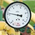 У России нет 100-процентной гарантии возврата украинского долга за газ