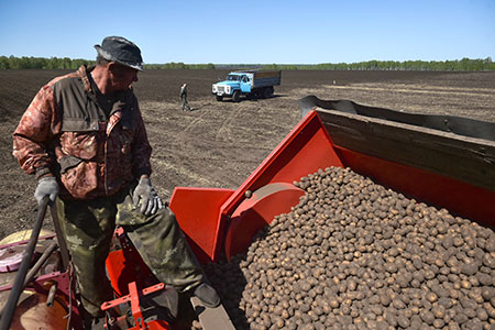 "Второй хлеб" в России дорожает в 10 раз быстрее общей инфляции