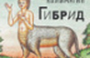 Жизнь в паузах