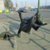 Вечность принадлежит королям