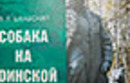 Собаки – на службе Отечества