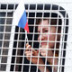Беда российского либерализма