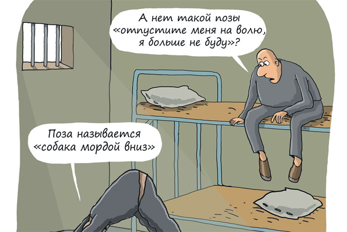 Моржи и петухи (2)