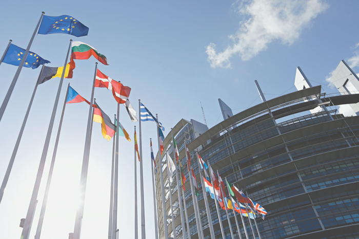 Чуда при голосовании в Европарламент не произошло