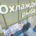 Обеспечит ли зачистка "ветхого" флота рост потребления россиянами рыбы