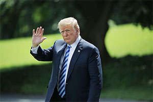 Трамп ищет встречи с Путиным