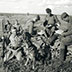 Собаки против стальных «зверей» вермахта