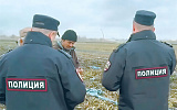 2. Миграционную политику переориентировали на нацбезопасность