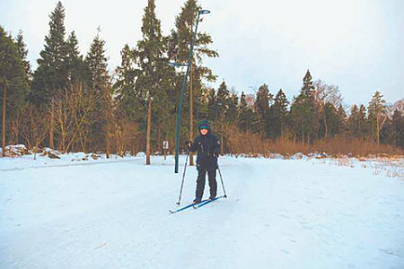 подмосковье, благоустройство, лесопарки, скверы, комфортная городская среда, отдых, досуг