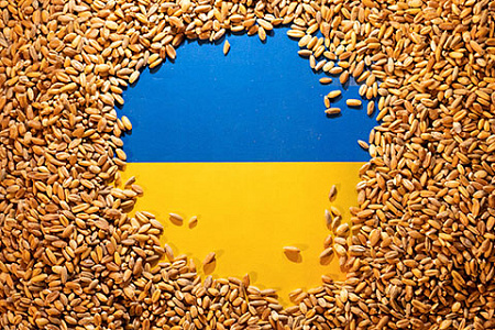 нато, украина, зерновая сделка, черноморский регион, безопасность, военный конфликт