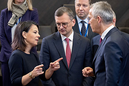 сво, украина, нацпрограмма реформ, нато, обороноспособность