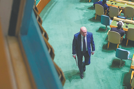 оон, эффективность, реформирование, внутренняя политика, льготы, привилегии
