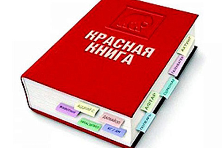 редкие животные, красная книга, депутаты, владислав резник