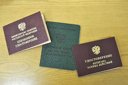 сво, участники, льготы, привилегии, соцподдержка, чвк вагнер, судимость, общество, правовая коллизия