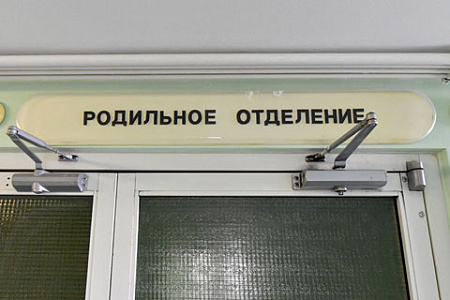 депутаты, дмитрий юрков, каргополь, роддом, курьезы