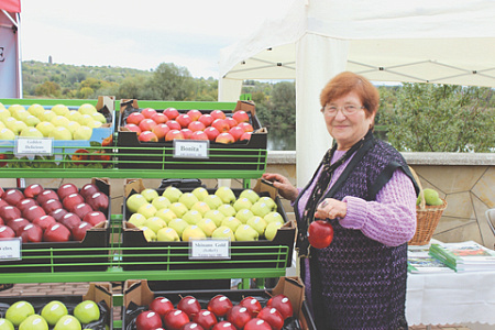 молдавия, экономика, упадок, сельское хозяйство, импортируемая продукция, падение производства