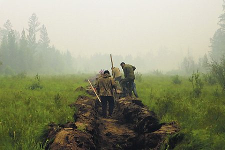 регионы, пожары